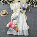 floral a-line long dress women with colorful prints and lantern sleeves on a stylish background